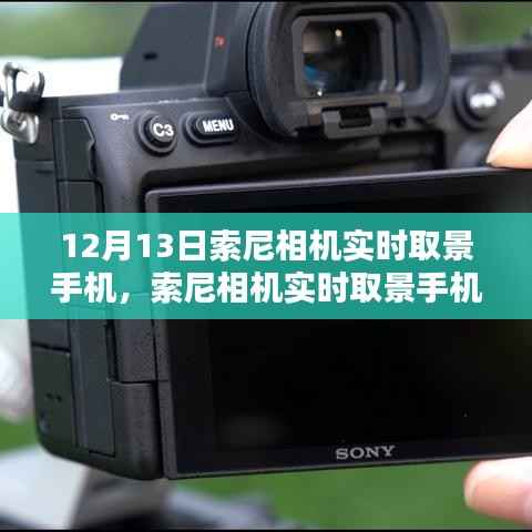 第281页
