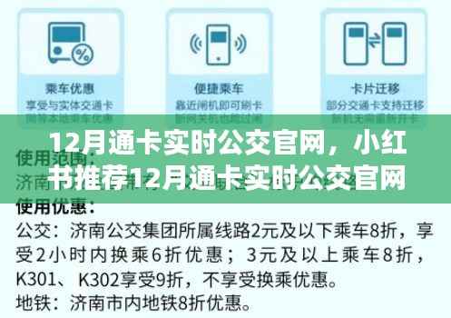 12月通卡实时公交官网指南,轻松掌握公交出行信息,小红书推荐!
