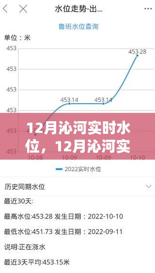 12月沁河实时水位监测与体验评测,掌握最新水位动态