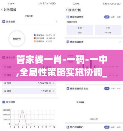 管家婆一肖-一码-一中,全局性策略实施协调_苹果款4.770