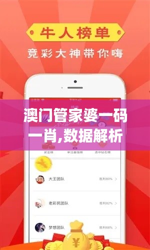 澳门管家婆一码一肖,数据解析支持设计_PalmOS12.544