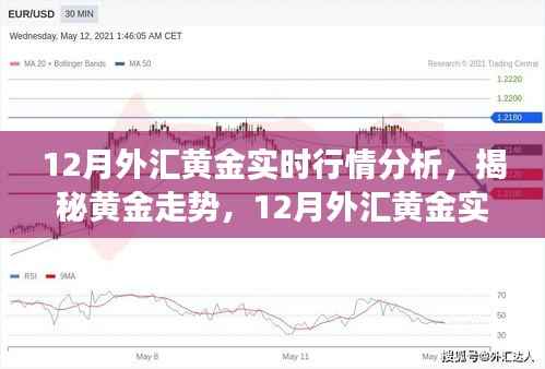 揭秘黄金走势,12月外汇黄金实时行情分析与解读三大要点