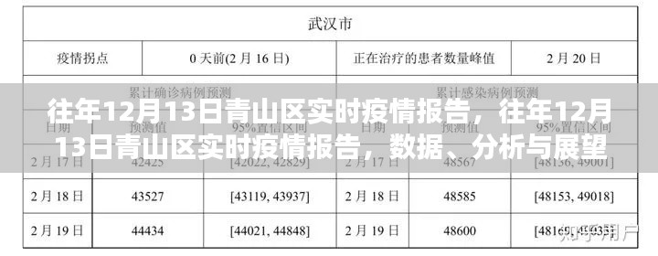 往年12月13日青山区疫情实时报告,数据、分析与未来展望
