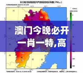 澳门今晚必开一肖一特,高速响应方案解析_投资版6.207