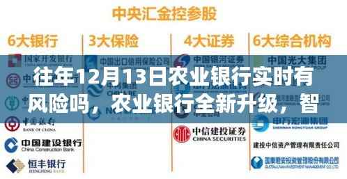 农业银行智能风控系统升级引领金融科技新纪元,实时风险分析与防范能力探讨