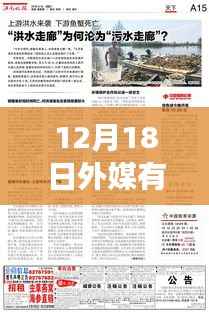 多维视角下的观点碰撞,揭秘外媒实时媒体网站在12月18日的动态与探析
