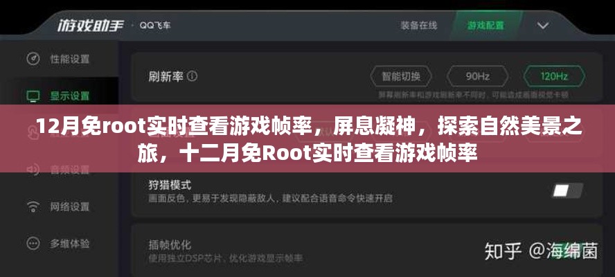 十二月免Root实时查看游戏帧率,屏息凝神,探索自然美景的游戏之旅
