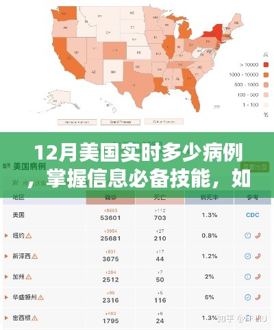 美国实时病例查询指南,掌握信息必备技能与查询方法