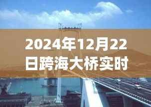 跨海大桥壮丽景色与宁静之旅,实时探寻桥梁下的秘密之旅(2024年跨海大桥实时报道)