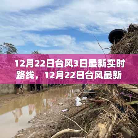 深度解析与案例分析,最新台风实时路线动态及案例分析(截至12月22日)