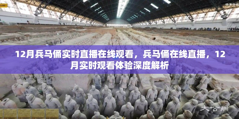 12月兵马俑在线直播深度解析,实时观看体验与历史文化魅力