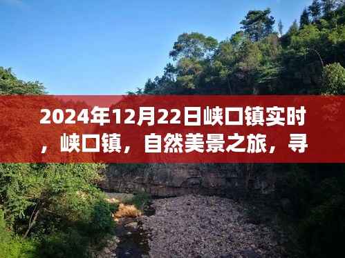 峡口镇自然美景之旅,探寻内心宁静与平和的秘境(2024年12月22日实时报道)