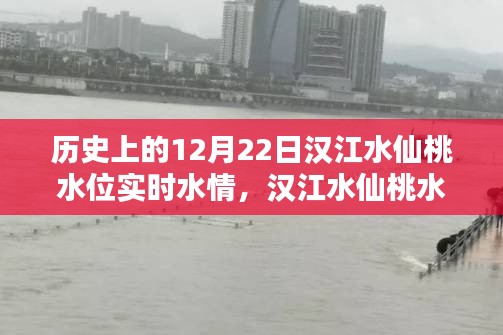 汉江水仙桃水位揭秘,探寻历史特殊水情,实时掌握12月22日水位动态