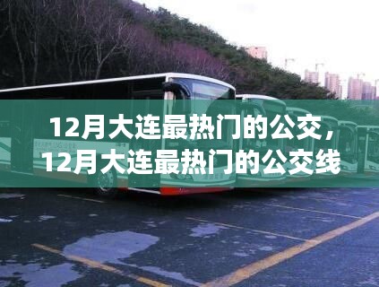 12月大连热门公交线路探索,城市脉动与公交魅力