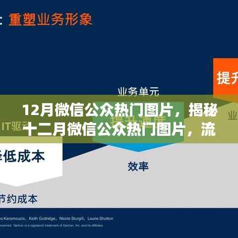 揭秘十二月微信公众平台热门图片流行趋势与背后的故事