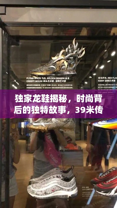 独家龙鞋揭秘,时尚背后的独特故事,39米传奇之旅!