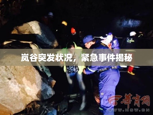 岚谷突发状况,紧急事件揭秘