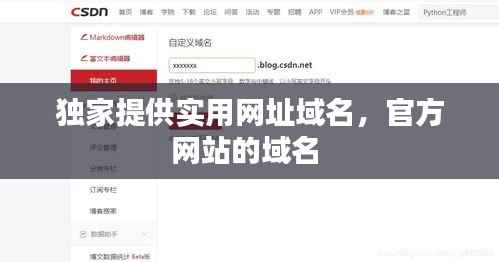 独家提供实用网址域名，官方网站的域名 