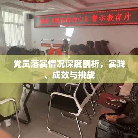 党员落实情况深度剖析,实践、成效与挑战