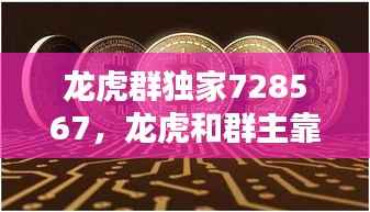 龙虎群独家728567,龙虎和群主靠什么赚钱