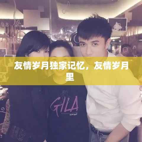 友情岁月独家记忆,友情岁月里