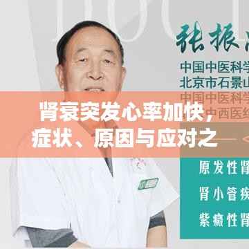 肾衰突发心率加快,症状、原因与应对之策