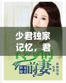 少君独家记忆,君四少的独家专宠百度云