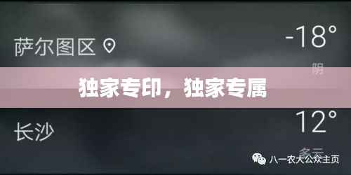 独家专印,独家专属