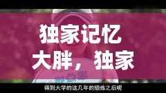 独家记忆 大胖，独家记忆1 