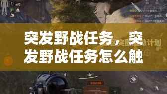 突发野战任务,突发野战任务怎么触发