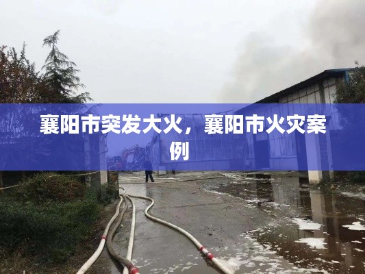 襄阳市突发大火,襄阳市火灾案例