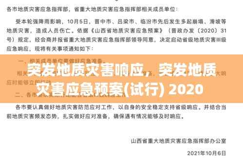 突发地质灾害响应,突发地质灾害应急预案(试行) 2020