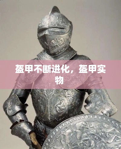 盔甲不断进化，盔甲实物 