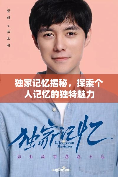 独家记忆揭秘,探索个人记忆的独特魅力