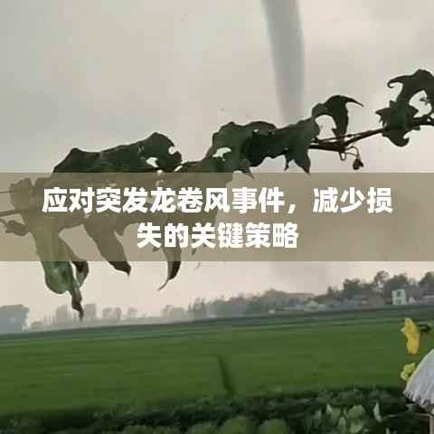 应对突发龙卷风事件,减少损失的关键策略