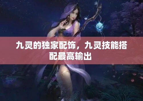 九灵的独家配饰,九灵技能搭配最高输出