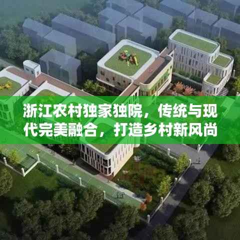 浙江农村独家独院,传统与现代完美融合,打造乡村新风尚典范