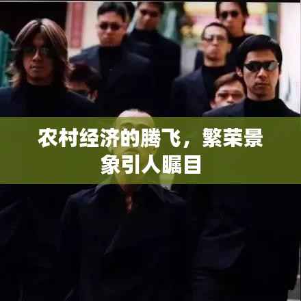 农村经济的腾飞,繁荣景象引人瞩目