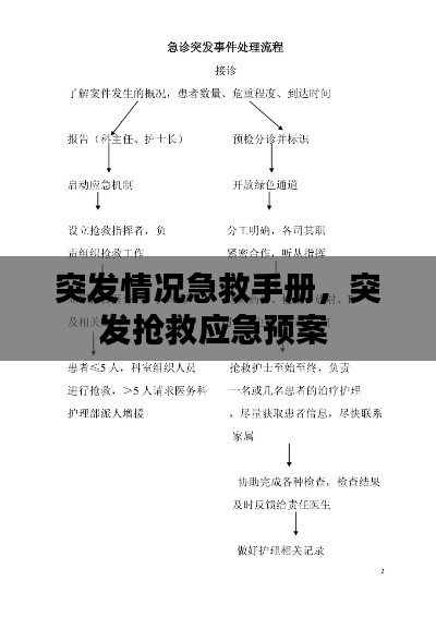 突发情况急救手册,突发抢救应急预案
