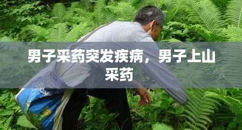 男子采药突发疾病,男子上山采药