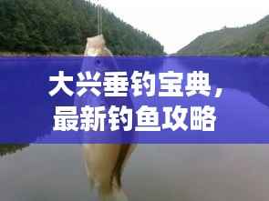 大兴垂钓宝典,最新钓鱼攻略全攻略