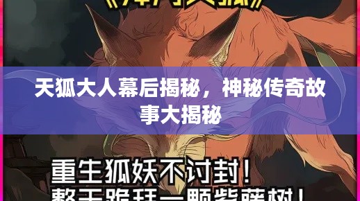 天狐大人幕后揭秘,神秘传奇故事大揭秘