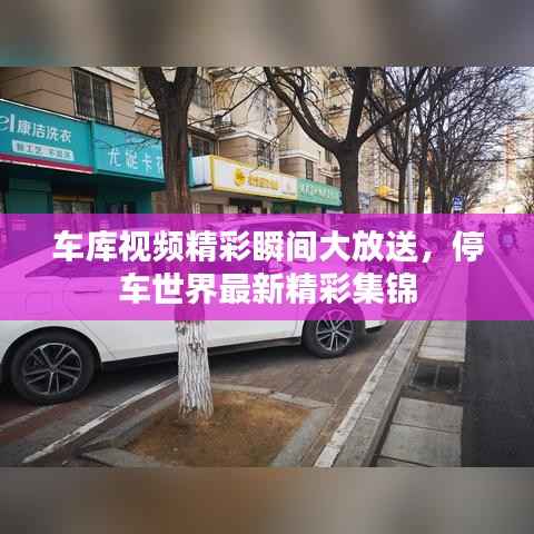 车库视频精彩瞬间大放送,停车世界最新精彩集锦