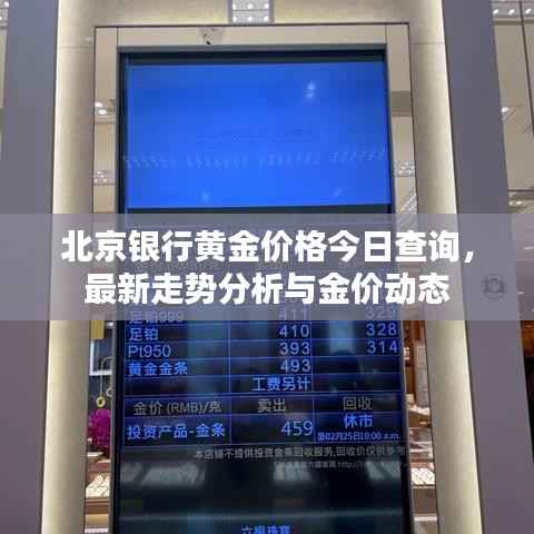 北京银行黄金价格今日查询,最新走势分析与金价动态