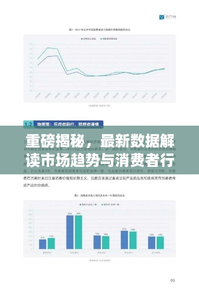 重磅揭秘，最新数据解读市场趋势与消费者行为，2024以旧换新趋势分析