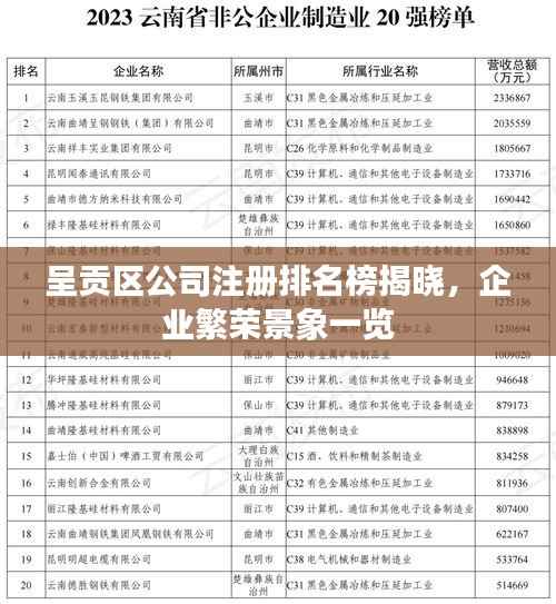 呈贡区公司注册排名榜揭晓,企业繁荣景象一览