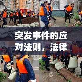 突发事件的应对法则,法律指引下的紧急处置之道
