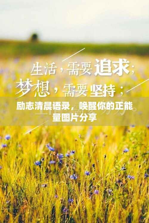 励志清晨语录,唤醒你的正能量图片分享