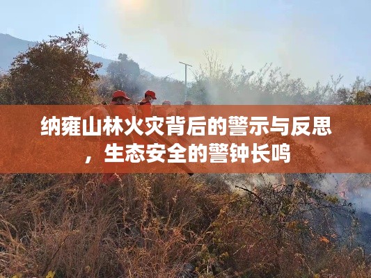 纳雍山林火灾背后的警示与反思,生态安全的警钟长鸣