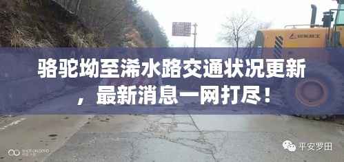 骆驼坳至浠水路交通状况更新,最新消息一网打尽!